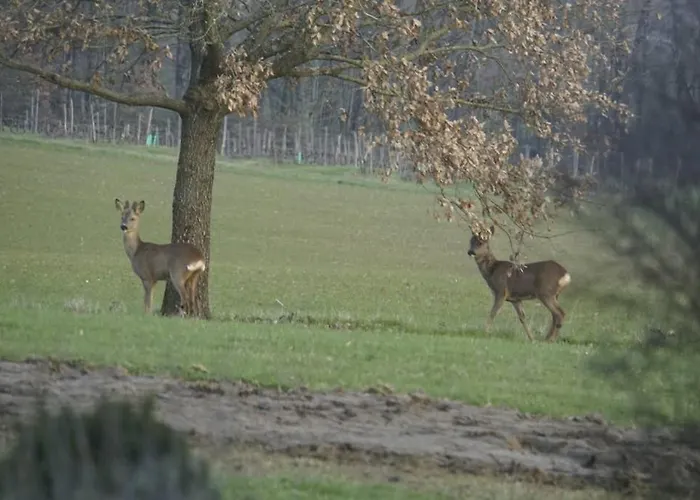 Maison Avec Piscine Feriehus *